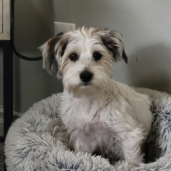 Meet your Posher, Vanessa - Picture 1 of 7